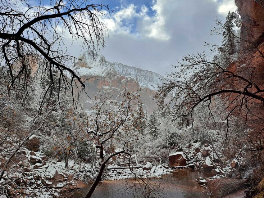 Zion National Park in December